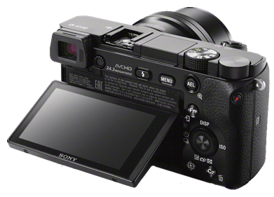 Sony a6000: Great budget mirrorless camera for travel and vacation pics.