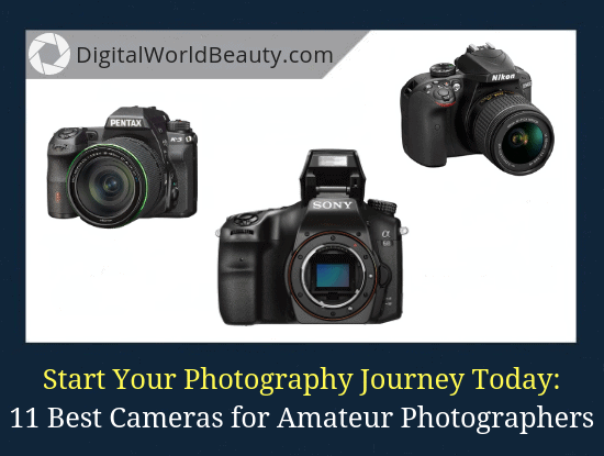 best dslr camera for amatuer