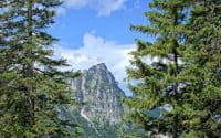 Beautiful landscape photos, trees and blue sky