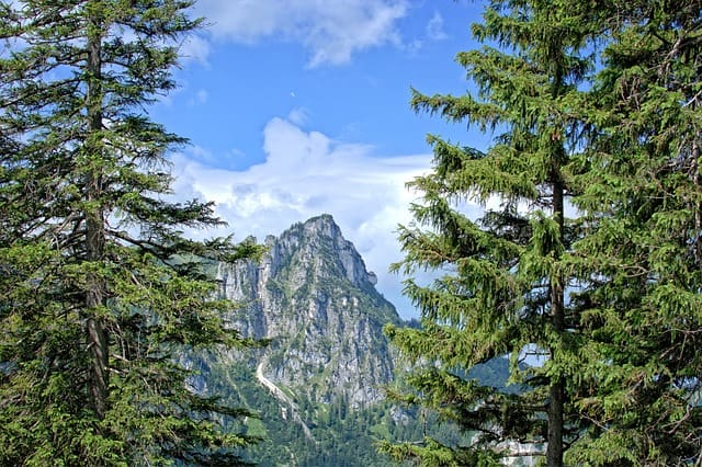 Beautiful landscape photos, trees and blue sky, taken with Nikon D7100.