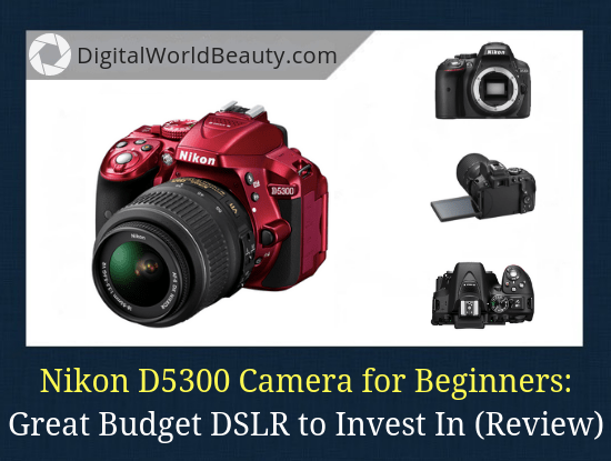 Difference Between Nikon D5300 and D5500  Compare the Difference Between  Similar Terms