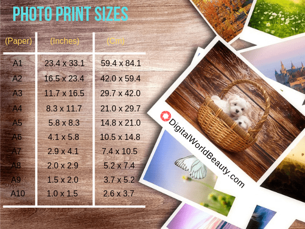 Guide To Standard Photo Print Sizes 