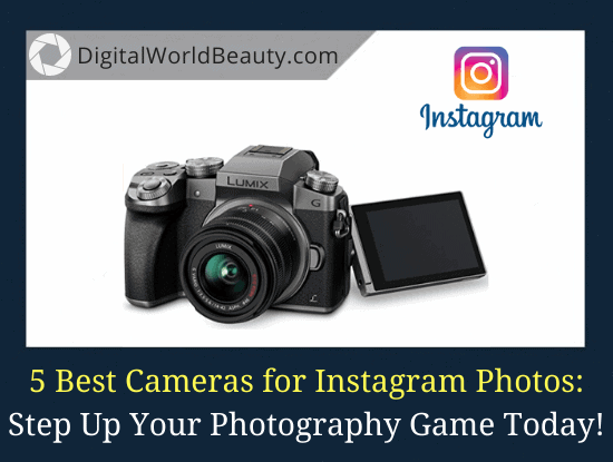 Best Cameras for Instagram & Blog Photos (2021)