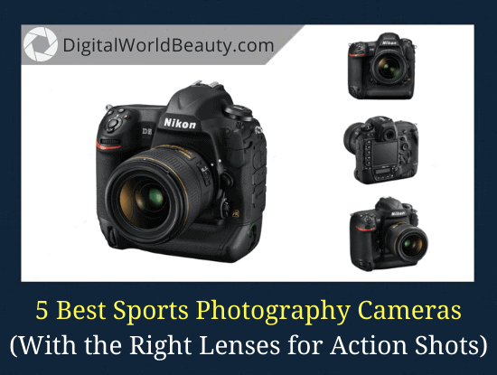 sports photography cameras for beginners