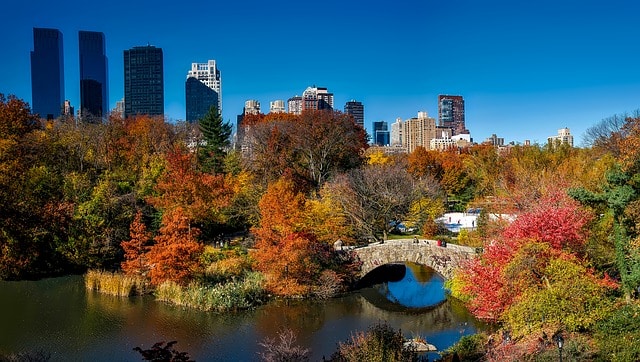 Central Park is one of the most photogenic places in New York City (NYC)