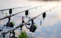 An image of a fishing rod and a fishing line.
