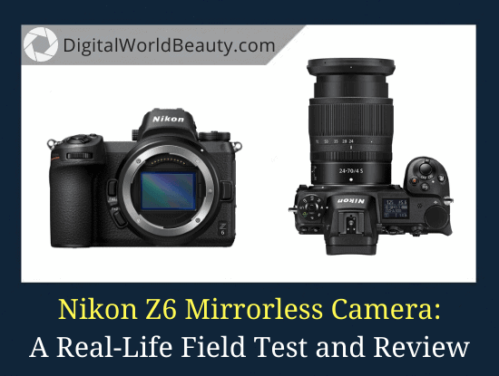 The Nikon Z5 vs Z6