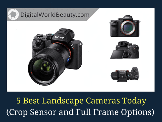 5 Best Cameras for Landscape Photography 2024