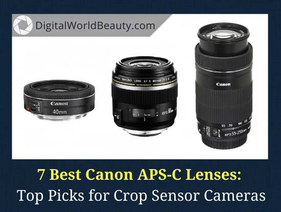 Best Lens for Crop Sensor Canon Cameras 2023