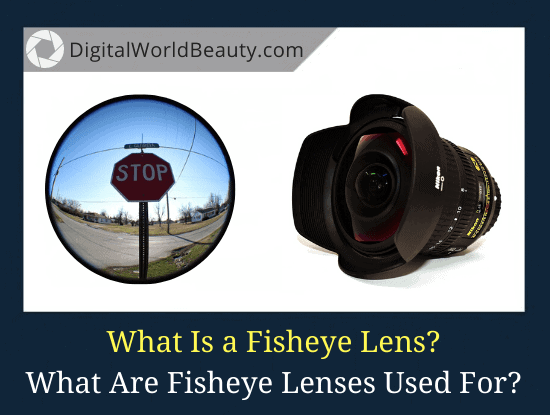 What Is a Fisheye Lens? What Are Fisheye Lenses Used For?