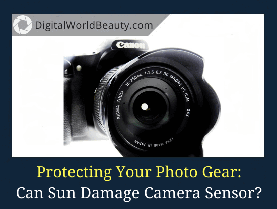 Can the Sun Damage Camera Sensor?