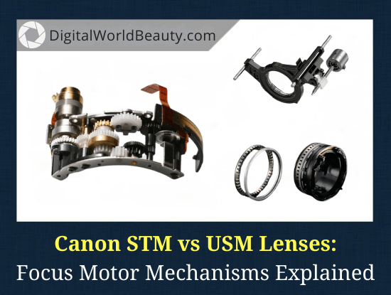 Canon STM vs USM Lens - What Is the Difference?