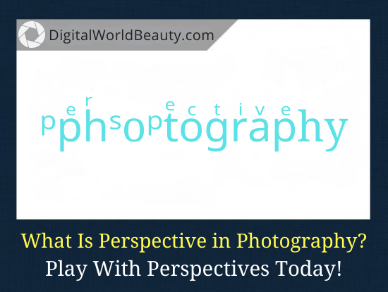 What Is Perspective in Photography (With Examples)