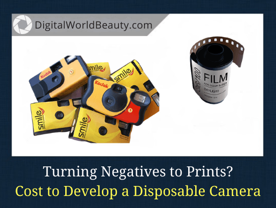 developing film disposable camera