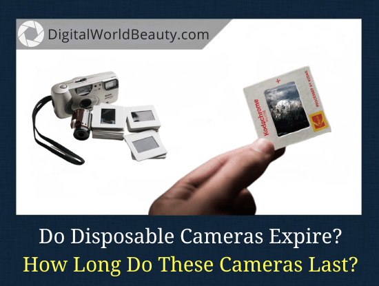 Do Disposable Cameras Expire? How Long Do Disposable Cameras Last?