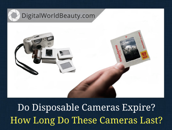 do-disposable-cameras-expire-how-long-do-they-last-guide