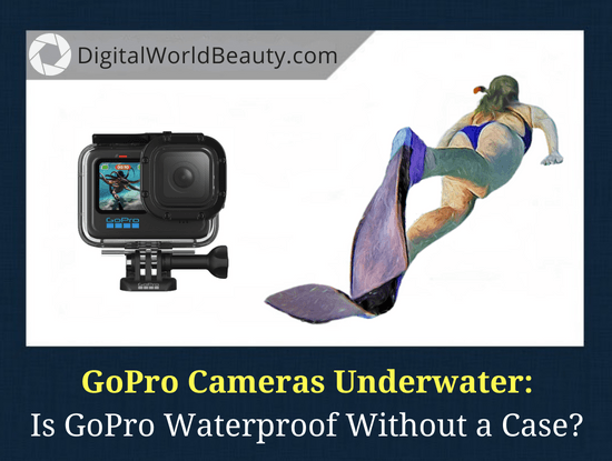 Is GoPro Waterproof Without a Case?