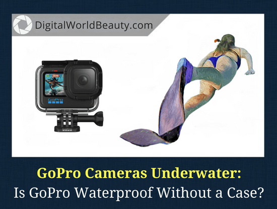 GoPro Hero9 Black Review - Underwater Photography Guide