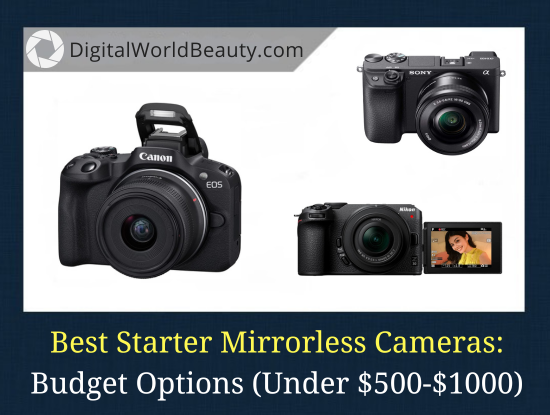 5 Best Mirrorless Cameras for Beginners (2024)
